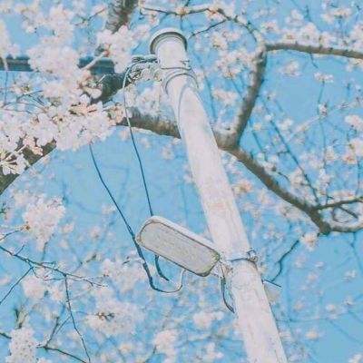光模块、法拉第旋片、福晶科技